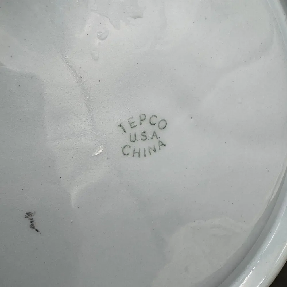 Vtg Grill Plate by Tepco USA 1950s Restaurant Hotel Ware 9.25